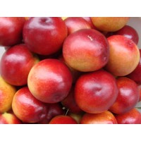 陜西油桃，沙紅桃鮮桃系列面向全國隆重招商